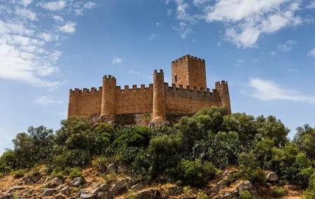 Customizable Private Day Trip from Lisbon to Tomar