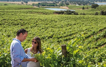 Private Tour: 2 days to discover the best of Alentejo wine route