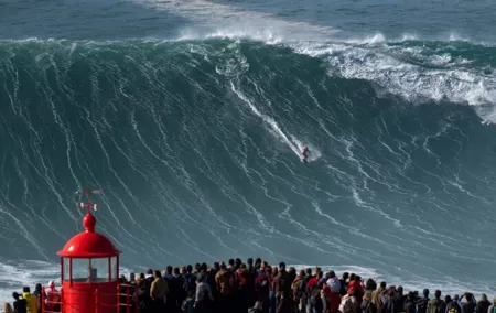 Transfer to Nazaré from Lisbon