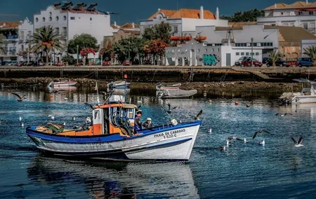 Private Transfer from Lisbon to Algarve