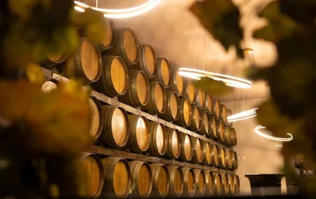Lisbon Luxury Tagus Wine Tour Experience