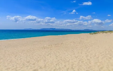 Private transfer: Comporta and Troia
