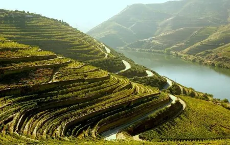 Douro Valley and Lisbon 5 Day PRIVATE Tour - Port Wine Region, Porto and Lisbon