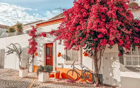 Transfer to Tavira from Lisbon