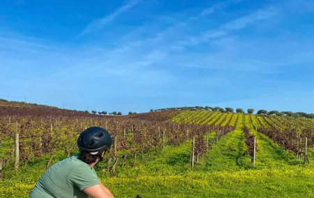 7-Day Portugal Self-Guided Bike Tour w/ Hotels & Luggage Transfer