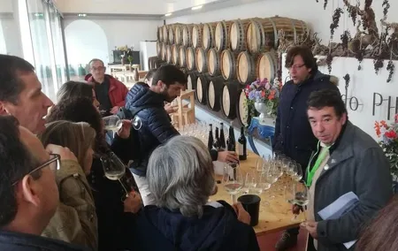Wine Tasting and food Experiences region of Lisbon - Setúbal