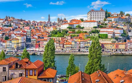 Porto Private Luxury City Tour From Lisbon