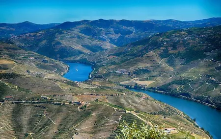 Full-day private Douro Valley Tour from DE Lisbon
