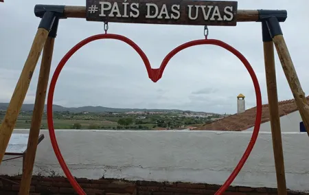 Private Tour of the Talha in Vila de Frades