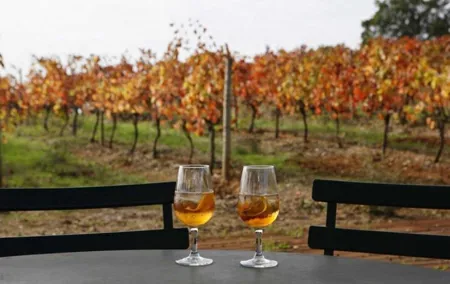 Setubal, Arrabida and Azeitão Private Wine Tour from Lisbon