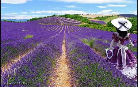 Nice: Gorges of Verdon and Fields of Lavender Tour