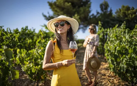 Provence Wine Tour - Private Day Tour from Nice