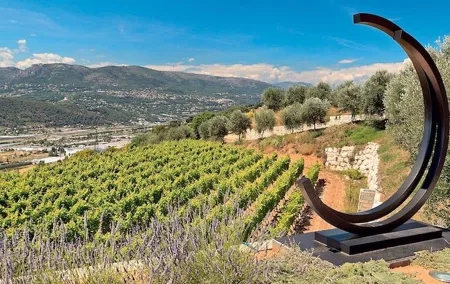 Provence Organic Wine Small Group Half Day Tour with Tastings from Nice