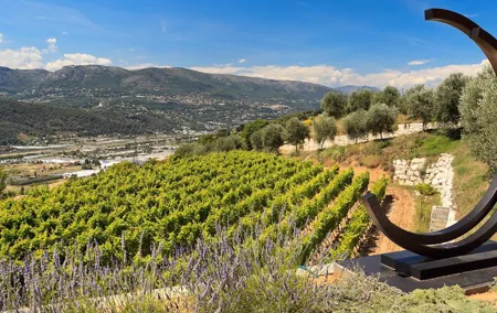 Full-day Wine Tour in Bellet & Saint-Paul de Vence from Nice