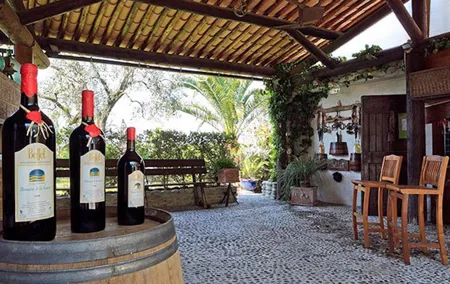 Semi Private Organic Wine & Food Tasting Tour (From Nice)