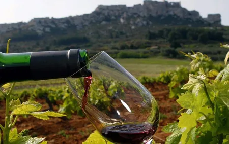 Provence Private Full Day Wine Tour with Wine Tasting
