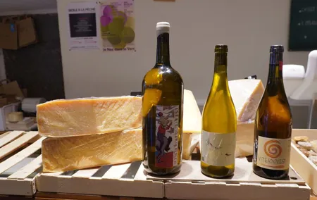 Discover our Terroirs and Tasting Cheese and Wine