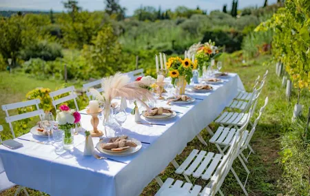 Dinner in the Vineyard French Riviera