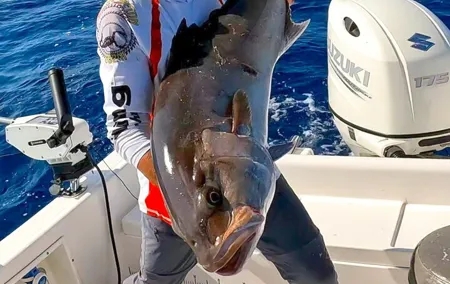 Private Day of Sport Fishing in Saint Laurent du Var