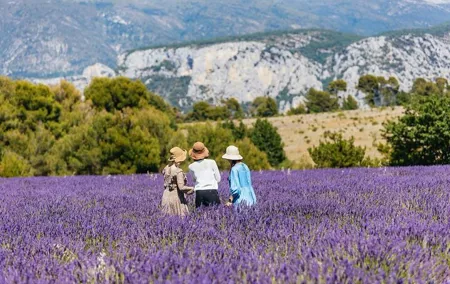 Private Tour of Gorges of Verdon and Fields of Lavender in Nice