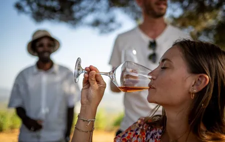 Provence Wine Tour - Private Day Tour from Antibes