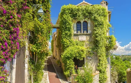 Wine Tasting, Provencal Market, Cannes and St Paul de Vence