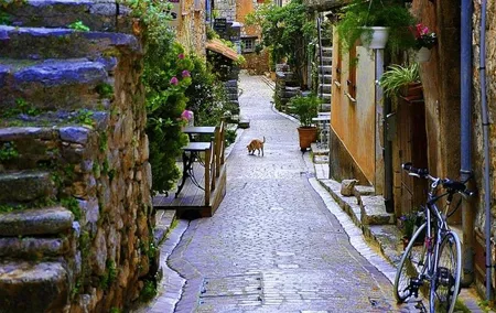 French Riviera & Medieval villages Full Day Private Tour