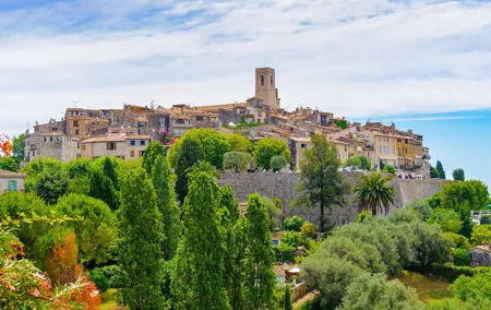 French Riviera, Wine tasting, Provencal market and Countryside