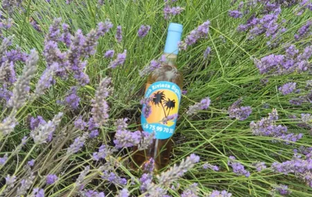 Full Day Private Tour in Lavender and Provence with Pickup