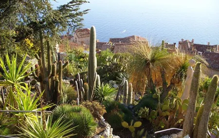 Full Day Tour in Eze Monaco and Monte-Carlo from Nice