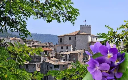 Countryside Half Day Private Tour
