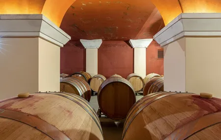 Wine Tasting in Nice Taste of Provence