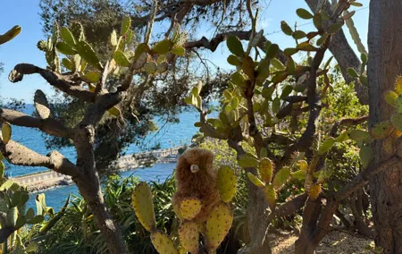 Monaco Private Full Day Guided Tour