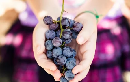 Wine Tasting & Art Tour from Nice