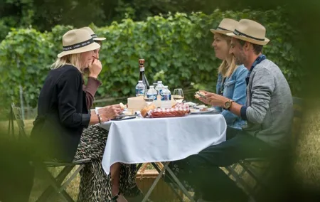 Picnic at "Château Vaudois" private tour