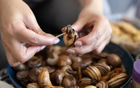 Outstanding tasting of the French Culinary Heritage