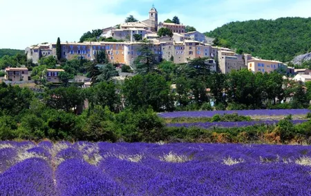 Private Tour in Aix-en-Provence or Marseille and Cassis