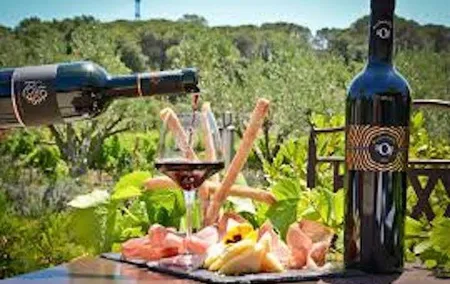 Clos des Roses Wine Tasting and Lunch