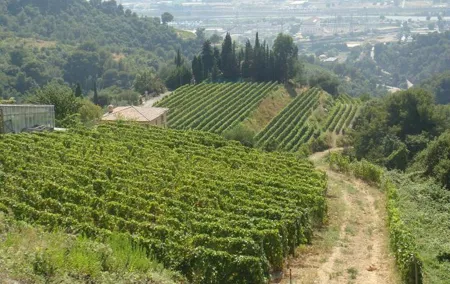 Provence Sea & Countryside Full-Day Private Tour