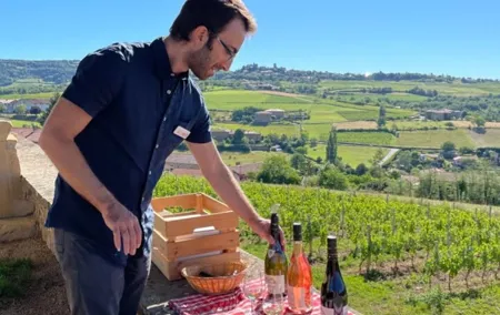 Private half-day tour to Golden Stone Beaujolais with tastings