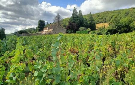 Half Day Private Beaujolais Wine Tour