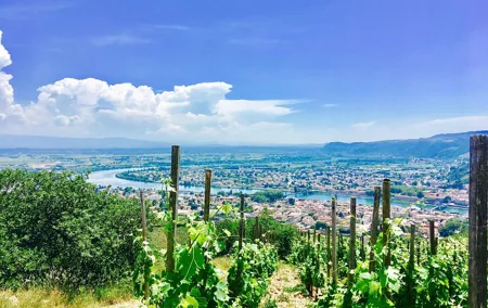 Northern Rhône Valley From Lyon Full day
