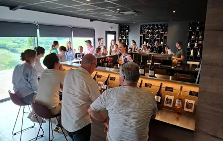 Beaujolais Half Day Wine Tasting Tour