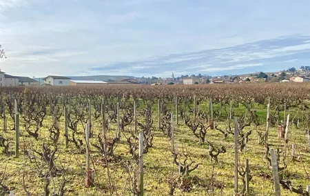 From Lyon: Full-Day Private Tour of Beaujolais