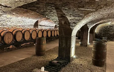Beaune & Burgundy Vineyards Private Day Trip from Lyon