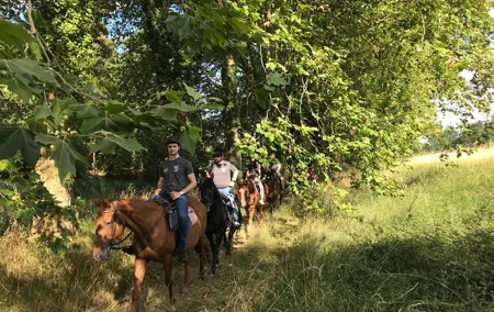 1-hour tourist walk with guide