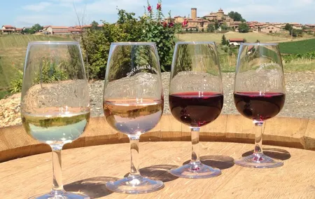 Beaujolais & Perouges Medieval Town (9:00 am to 5:15 pm - Small Group Tour Lyon