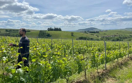 Private Beaujolais wine tour