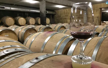 Cotes du Rhone Wine Tour (9:00 am to 5:15 pm) - Small Group Tour from Lyon