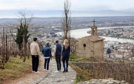 Rhône Valley Wine & Chocolate Tasting Private Day Tour from Lyon